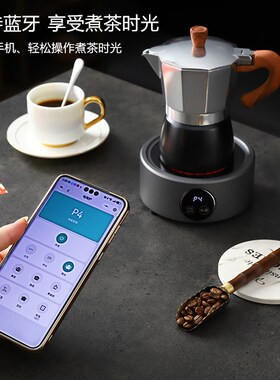 迷你小型电陶炉煮茶器便携式新款咖啡摩卡壶煮茶炉旅行户外烧水炉