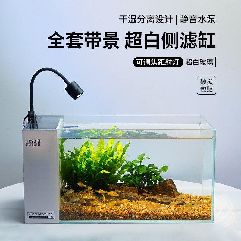 变焦射灯款侧滤鱼缸全套造景生态缸自循环小型办公室家用2024新款