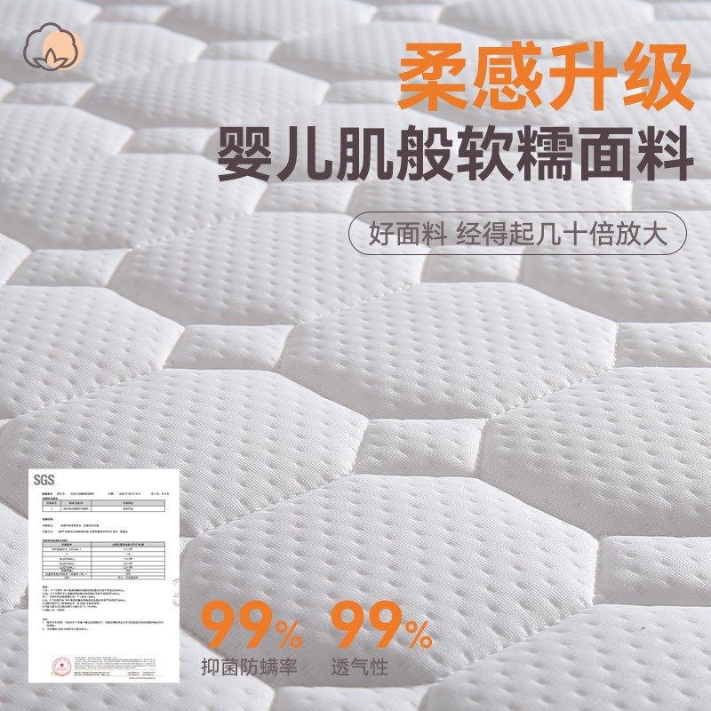 床垫硬垫子棕垫家用卧室棕榈10cm厚可折叠十厘米12公分椰棕床垫
