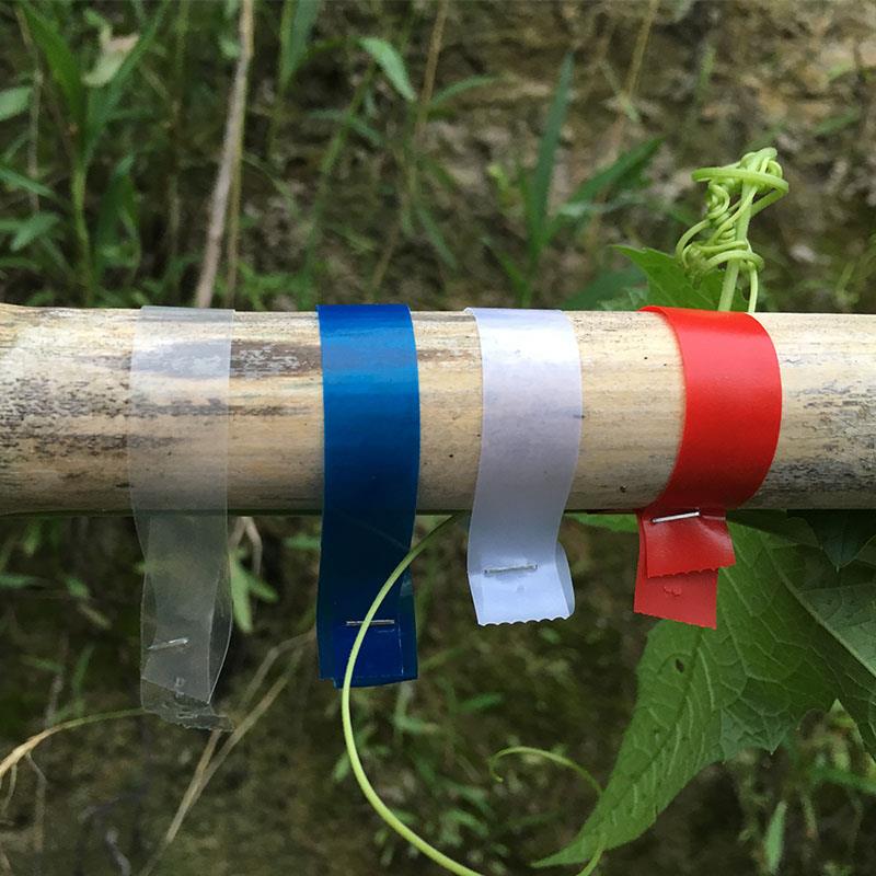 番茄绑枝机胶带黄瓜绑枝器专用胶带葡萄绑蔓器带绑枝带整箱包邮