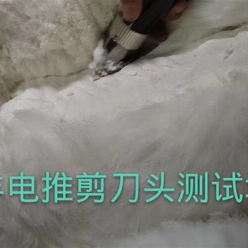 长毛兔专用电推剪刀头绒山羊刀头电推剪宠物松狮萨摩陶瓷刀头配件