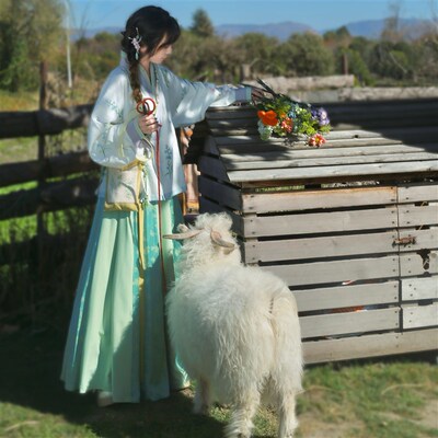 醒春集【野花集】晋制汉服晋襦间色交窬裙绣花清新文艺风日常春夏
