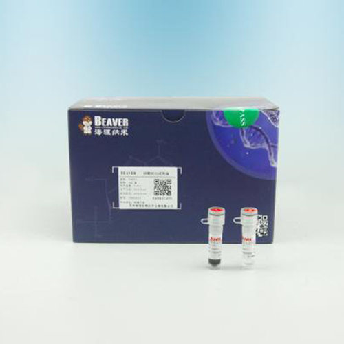 Beaver海狸抗体纯化磁珠琼脂糖