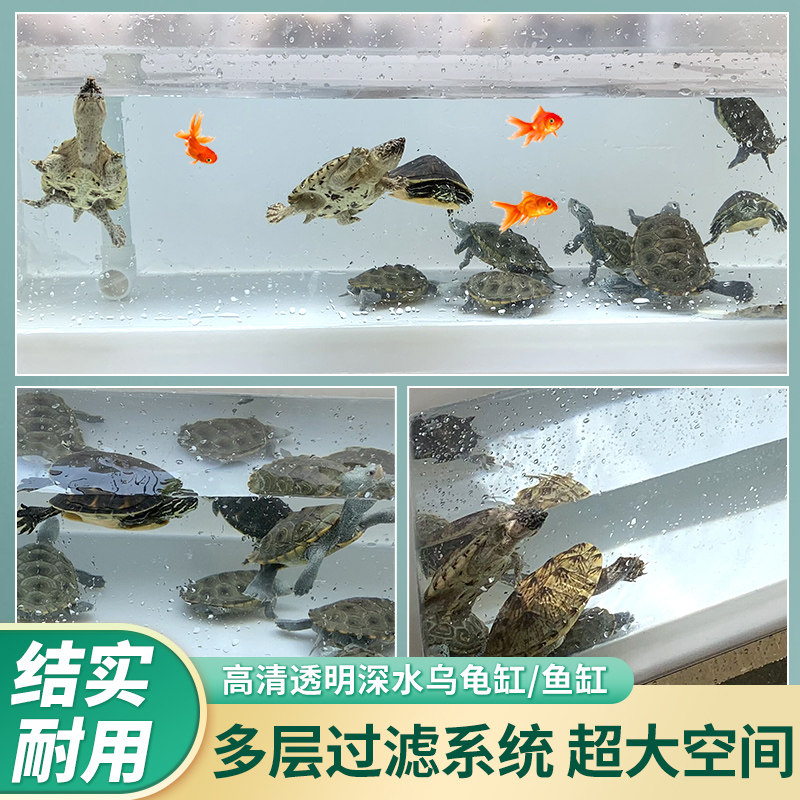 乌龟缸塑料轻体高清透明玻璃深水鱼缸鱼池乌龟池带过滤槽独立式