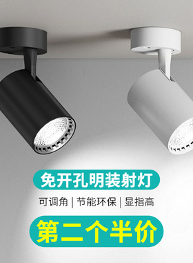 明装射灯可调角度单个家用小吸顶式轨道灯聚光射灯LED天花灯筒灯
