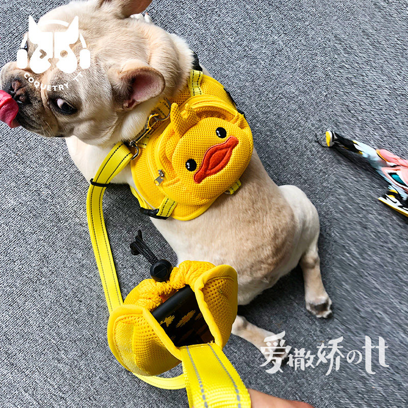 TT狗狗背包自背泰迪法斗小书包牵引绳背心式背带外出宠物胸背包
