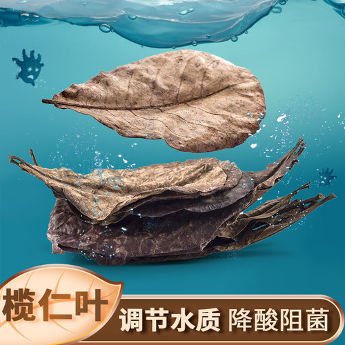 天然榄仁叶橄榄叶乌龟鱼缸水族龙鱼改善水质降酸降ph懒人叶10片装