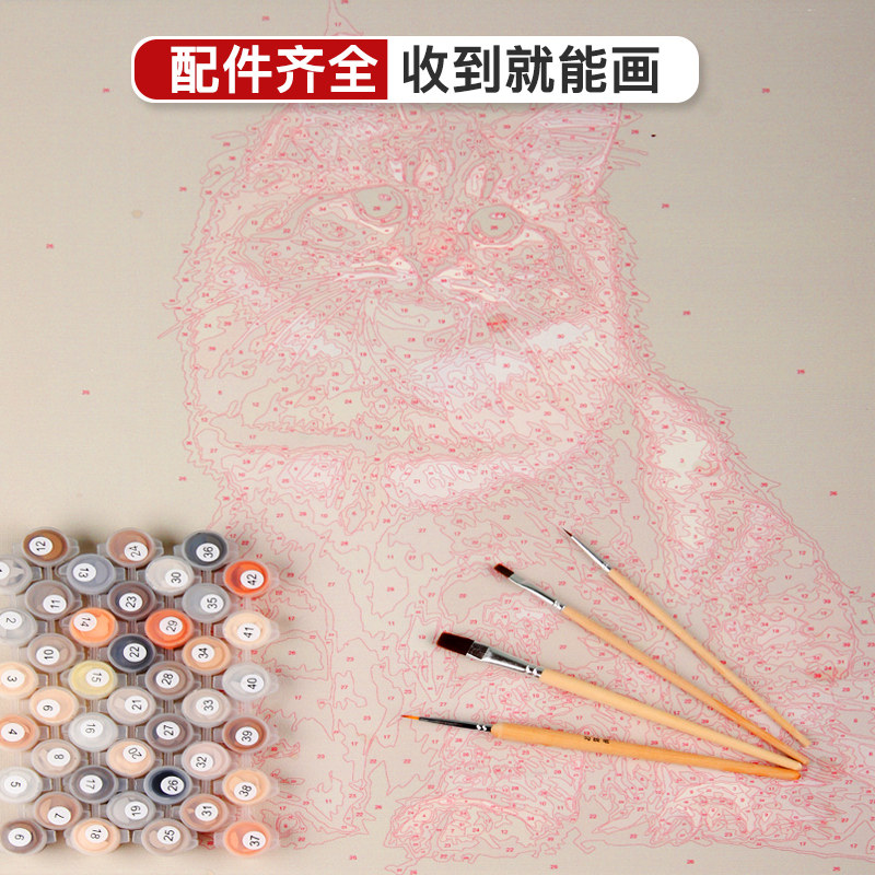 数字油画宠物猫咪照片diy定制手工油彩画画动物填色填充手作装饰