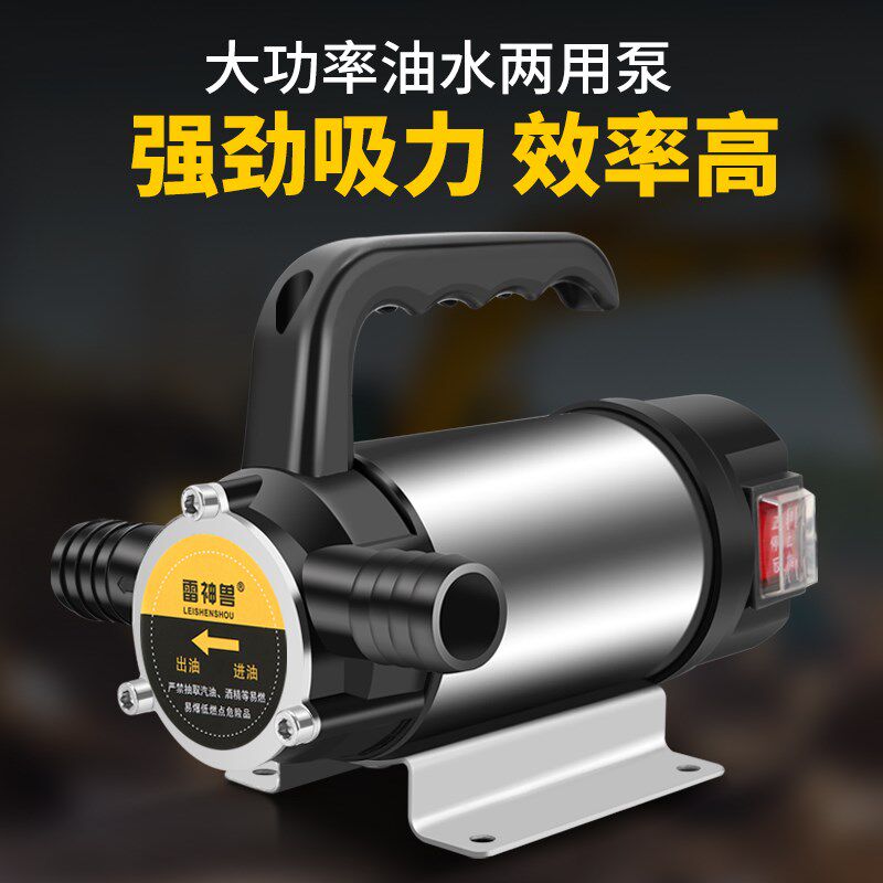 油水两用泵电动泵小型柴油正反转抽水泵12V24V220V自吸泵抽油神器