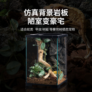 升级SuperRep爬宠立体造景背景板爬虫饲养缸饲养盒箱雨林缸仿岩石