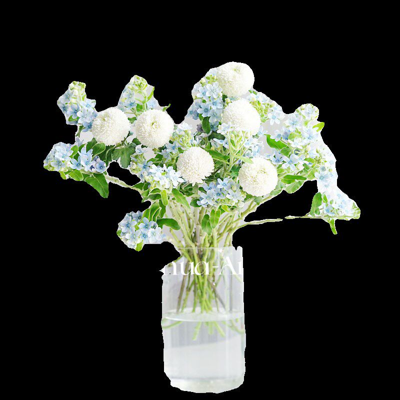 蓝白谜语组合鲜花家居办公插花水养白色乒乓菊蓝星花混搭花束花艺
