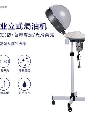 焗油机美发蒸汽机发廊家用理发店美发护理喷雾机头发营养蒸发机