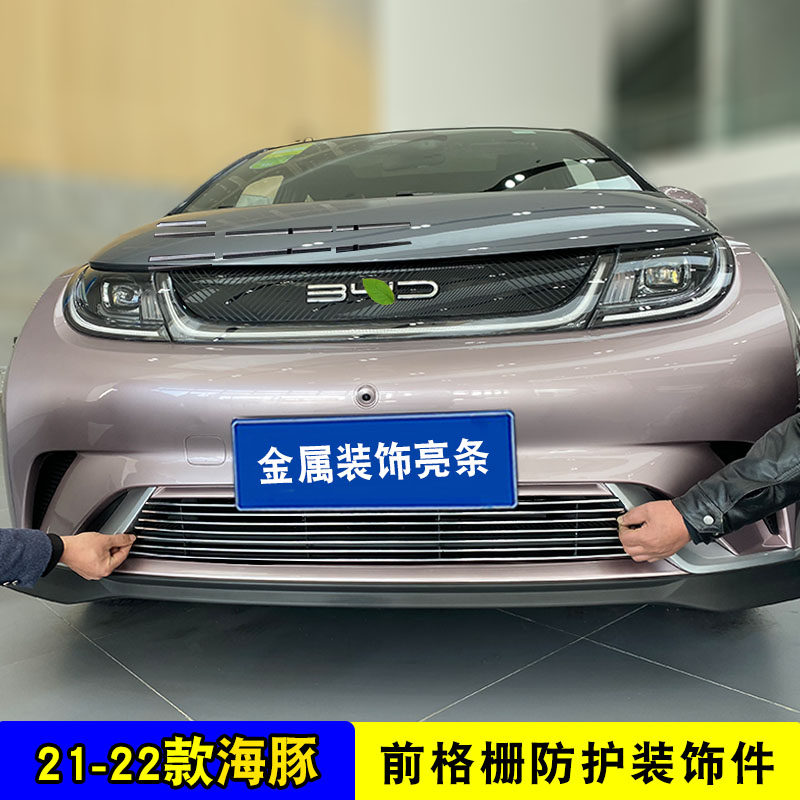 21-22款比亚迪海豚中网外观改装饰条 前杠格栅配件防絮防虫网亮条