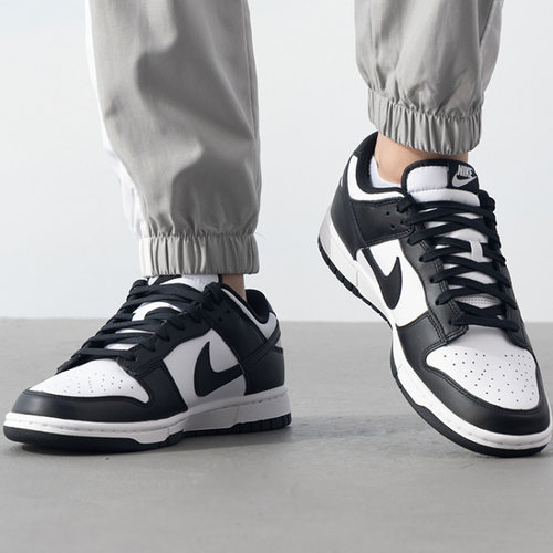 Nike Dunk Low Retro男子经典百搭减震耐磨低帮板DD1391-100