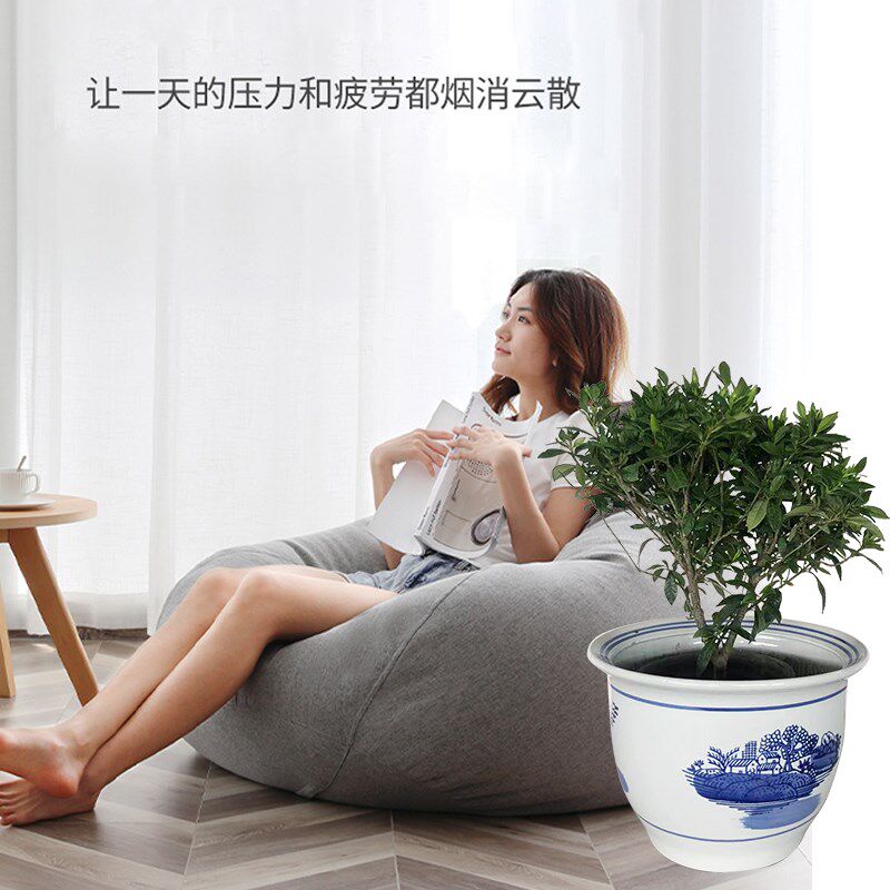 特大号青花瓷发财树幸福树龙须木散尾葵绿萝栽树植物通用陶瓷花盆