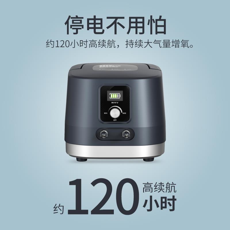 博宇大功率鱼池增氧泵大气量大鱼缸供氧冲氧交直流两用氧气泵DAP