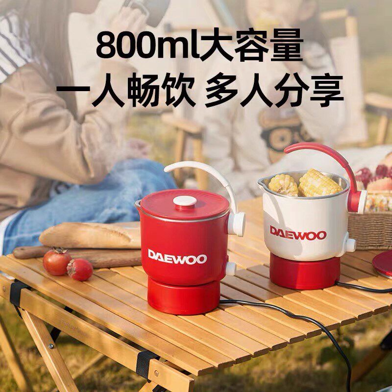 大宇便携式烧水壶家用316l出门旅行婴儿迷你可折叠电热水壶电煮锅