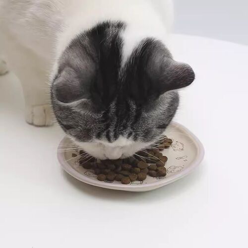 年糕Niangao手作系列陶瓷餐盘猫碗狗碗易洗预防黑下巴餐碟陶瓷碗