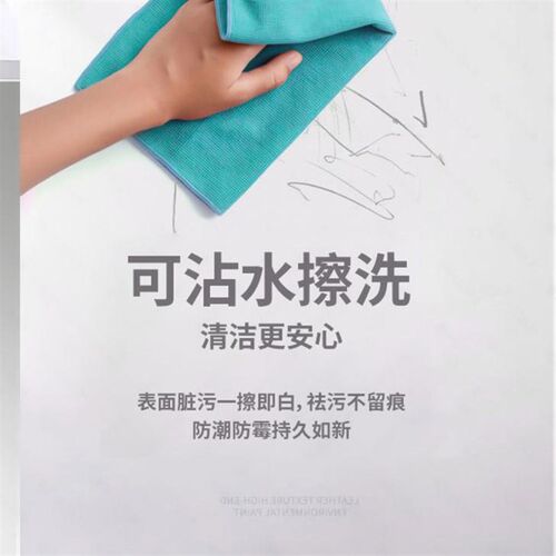 投影漆