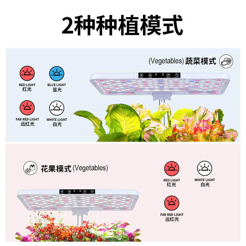 水培箱家用蔬菜多层种植机智能种菜机室内无土栽培架种植箱