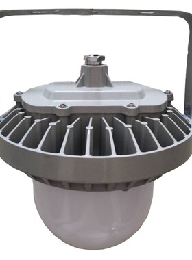 DSF）ZY-WG921 微波感应 100W 5700K IP66 LED平台灯LED泛光灯化