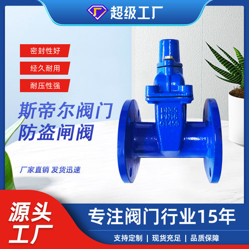 防盗闸阀 锁闭软密封闸阀 球墨铸铁法兰闸阀 厂家天津FDZ45X-16Q