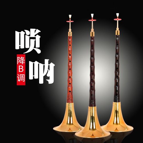 王家彪降B调唢呐乐器初学者全套乌木红檀小叶紫檀木红白喜事专用