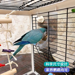 鹦鹉自动喂食器下料器防洒防溅防刨食牡丹玄凤虎皮鸟食盆鸟粮饭盆