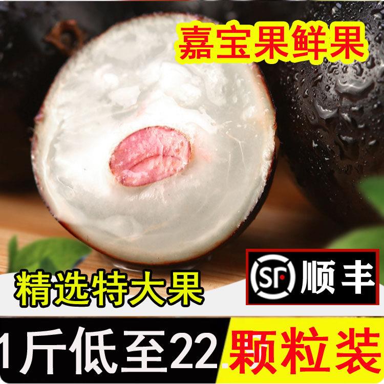 【老树果更甜】嘉宝果鲜果树葡萄新鲜水果大果当季现摘孕妇加宝果图片