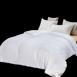 210cm春秋被加厚保暖冬被双人被子 1.6x2.1米学生宿舍单人被芯160