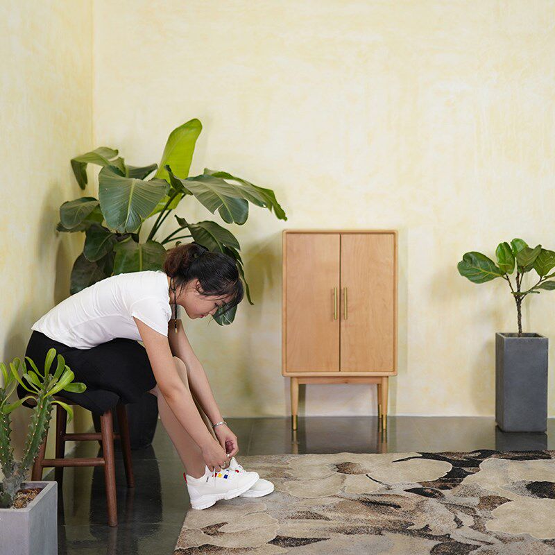 黑胡桃榉木实木榫卯轻奢铜脚北欧日式复古玄关小鞋柜角柜收纳