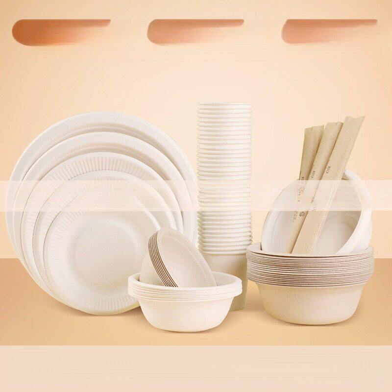 双鱼一次性纸盘子手工创意手绘画涂鸦纸盘蛋糕盘可降解餐具