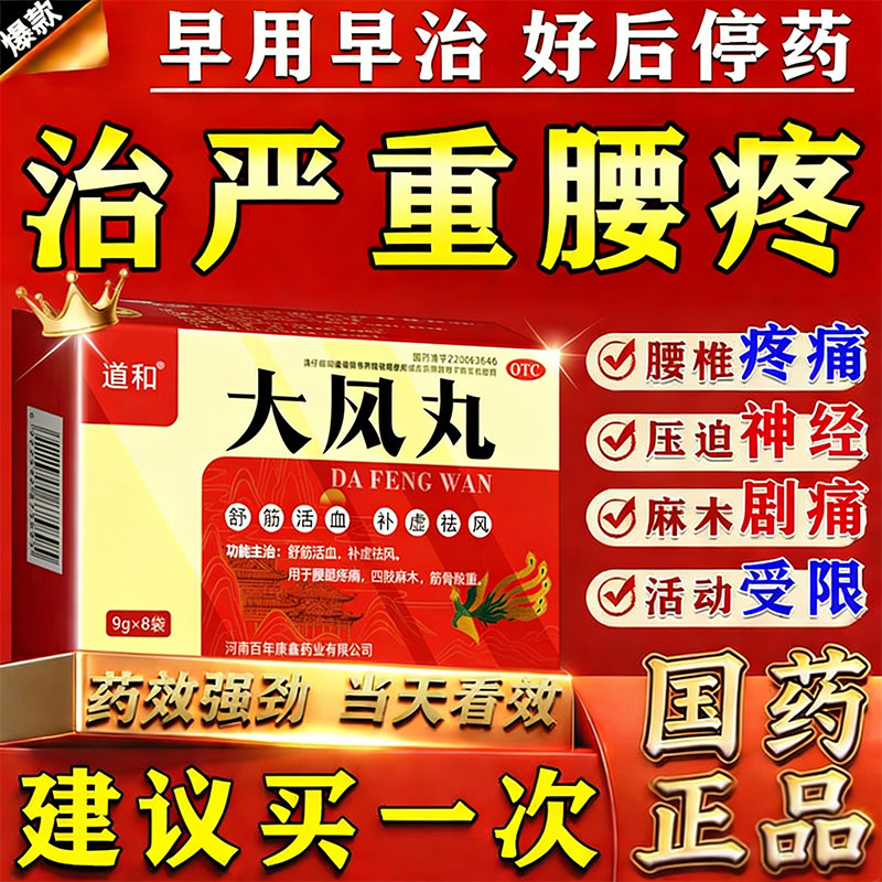 【道和】大风丸9g*8袋/盒