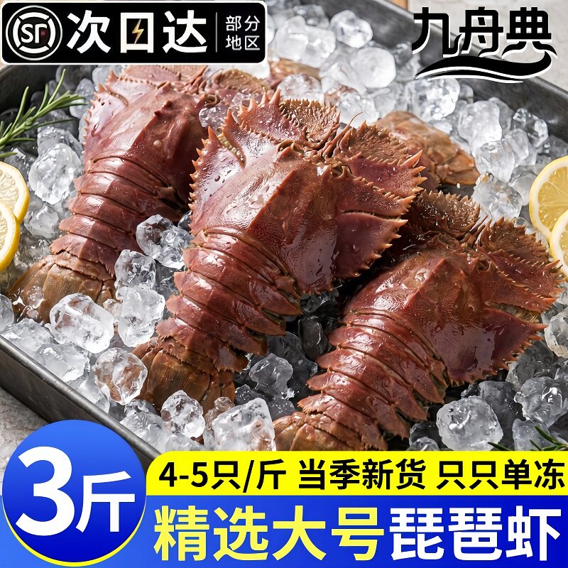 九舟典鲜活冷冻琵琶虾九齿扇虾