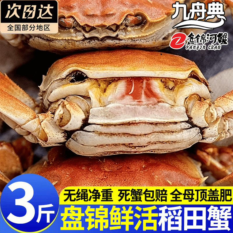 盘锦正宗鲜活全母大闸蟹3斤礼盒