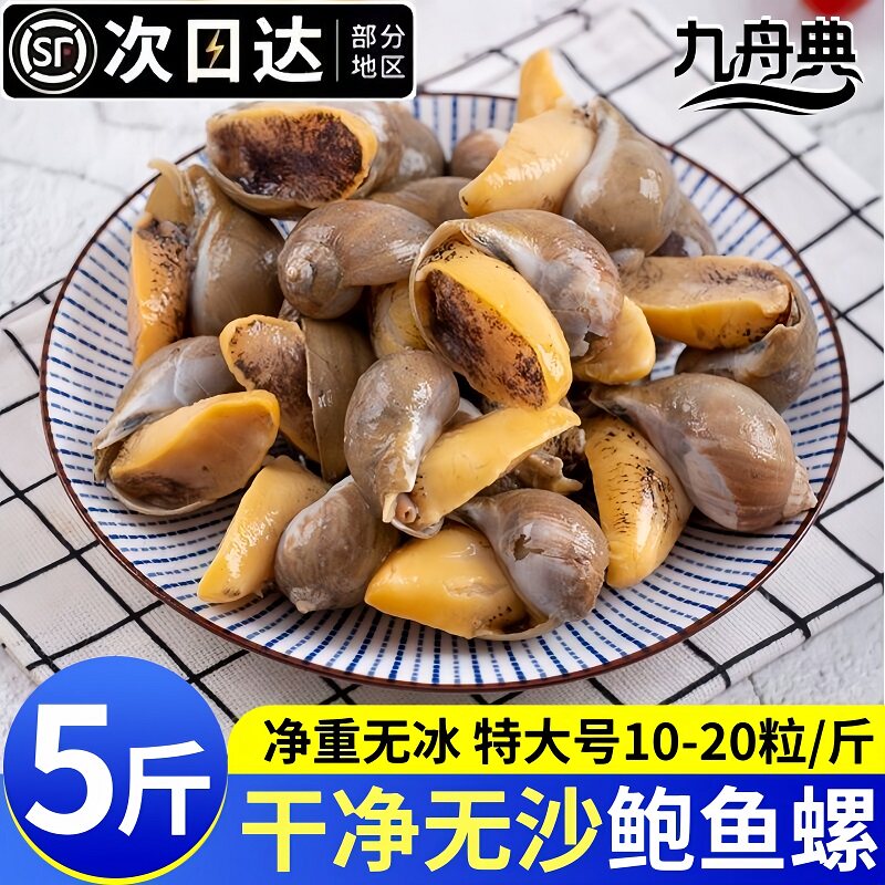 新鲜冷冻鲍鱼螺老婆脚带黄超大号