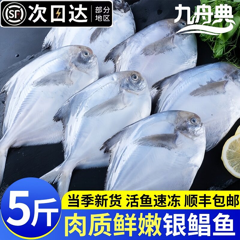 九舟典海捕新鲜冷冻银鲳鱼非金鲳