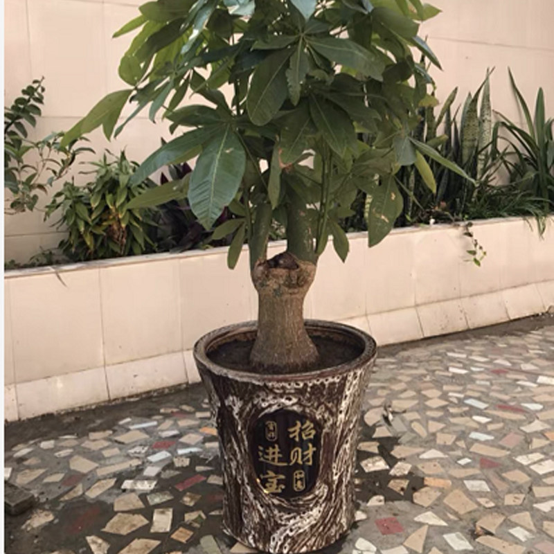 古典新款创意客厅阳台陶瓷花盆大号树桩兰花绿萝发财树盆栽带托盘