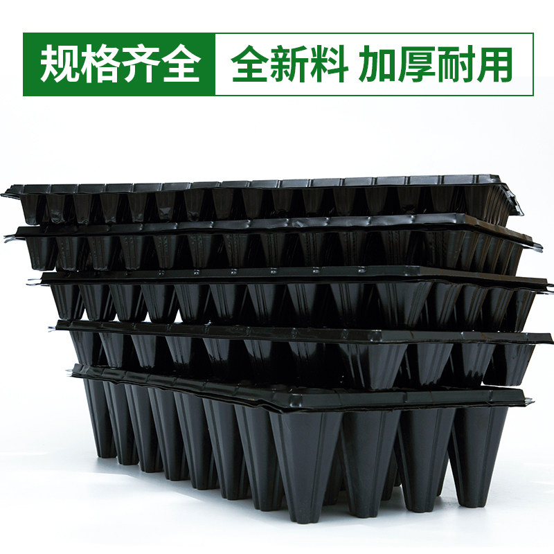 育苗穴盘育苗盘育苗杯塑料营养钵辣椒多肉蔬菜草莓苗木育苗器扦插