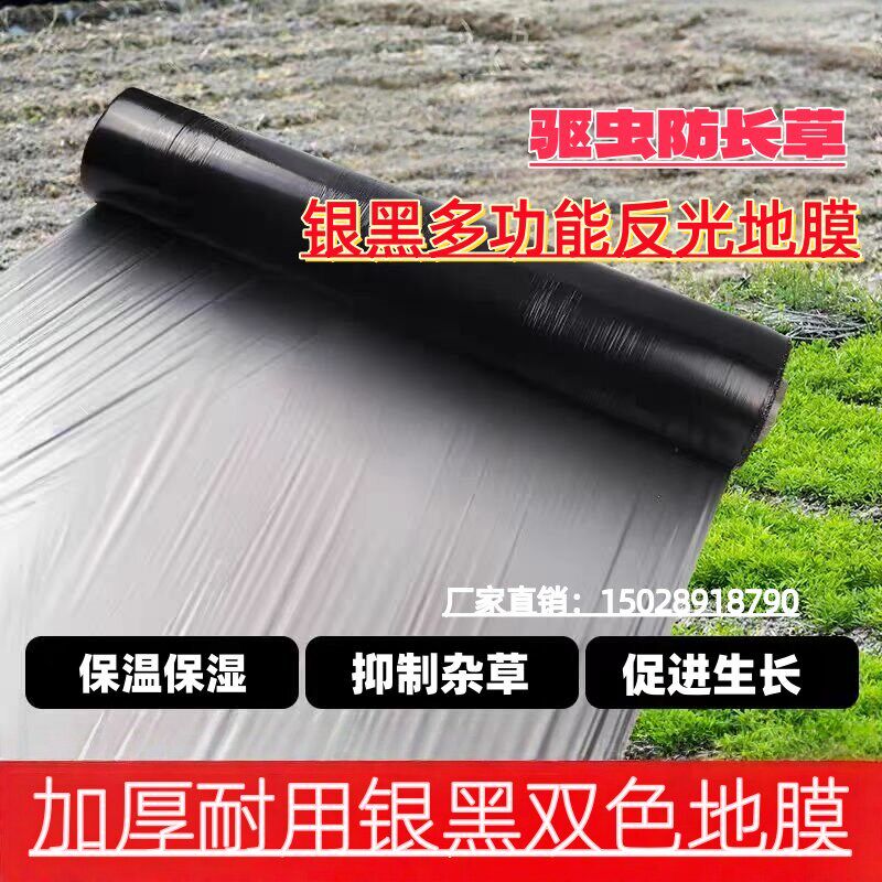 银黑双色反光地膜果树草莓西瓜专用防长草加厚农用种菜园银黑地膜