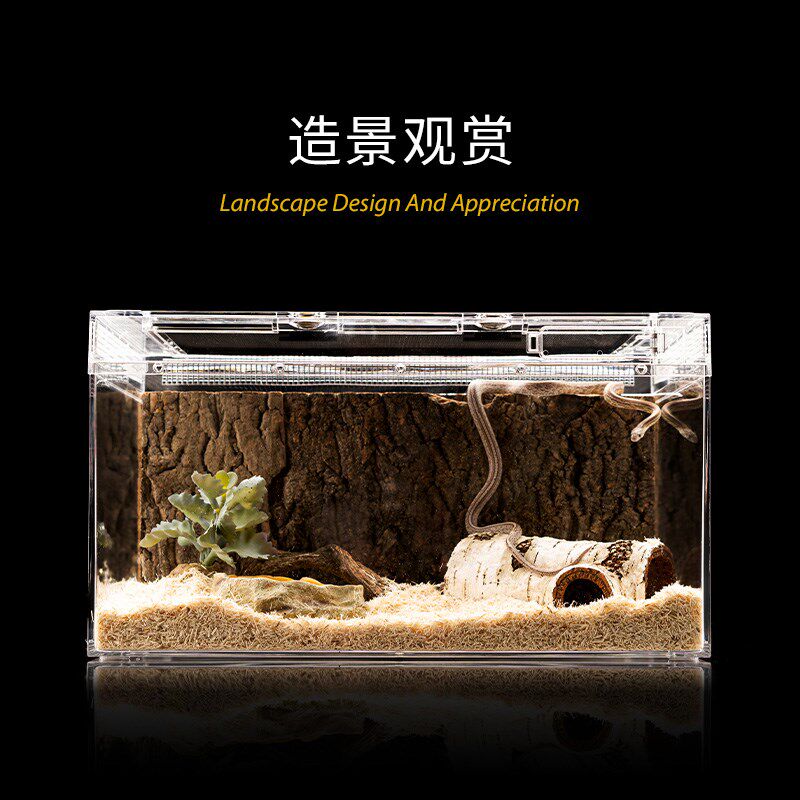 爬宠饲养箱a6养殖盒大号小号活物鬃狮蜥蜴睫角守宫角蛙宠物蛇龟缸