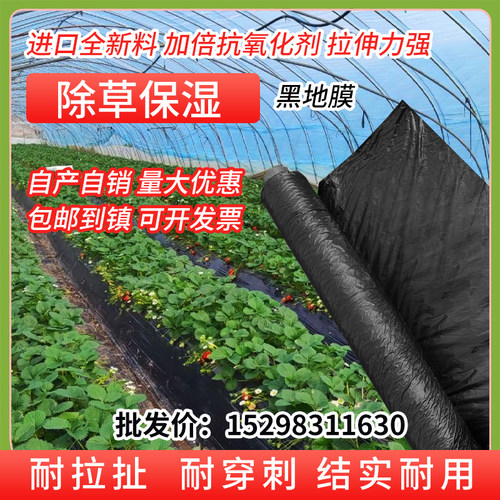 农用种植加厚抗老化黑地膜塑料薄膜除草保温保湿防草大棚果树种地
