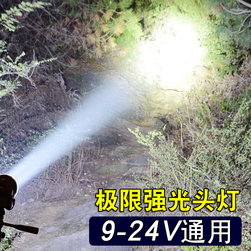 12v灯头外接电瓶强光超亮疝气灯白黄光头戴式户外钓鱼灯9核大光斑