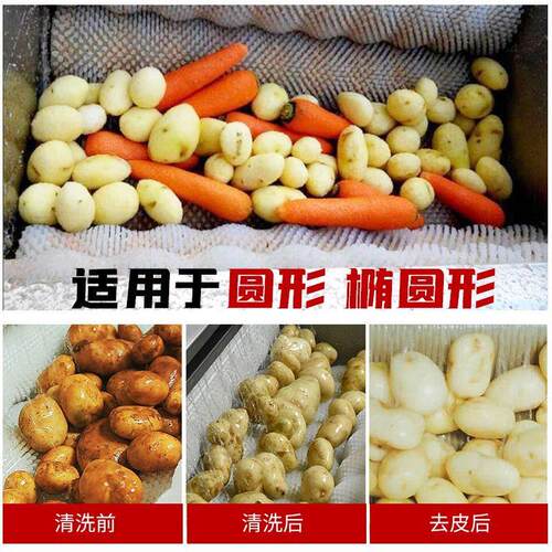 土豆清洗去皮机商用不锈钢全自动洋芋核桃果蔬莲藕红薯去皮清洗机