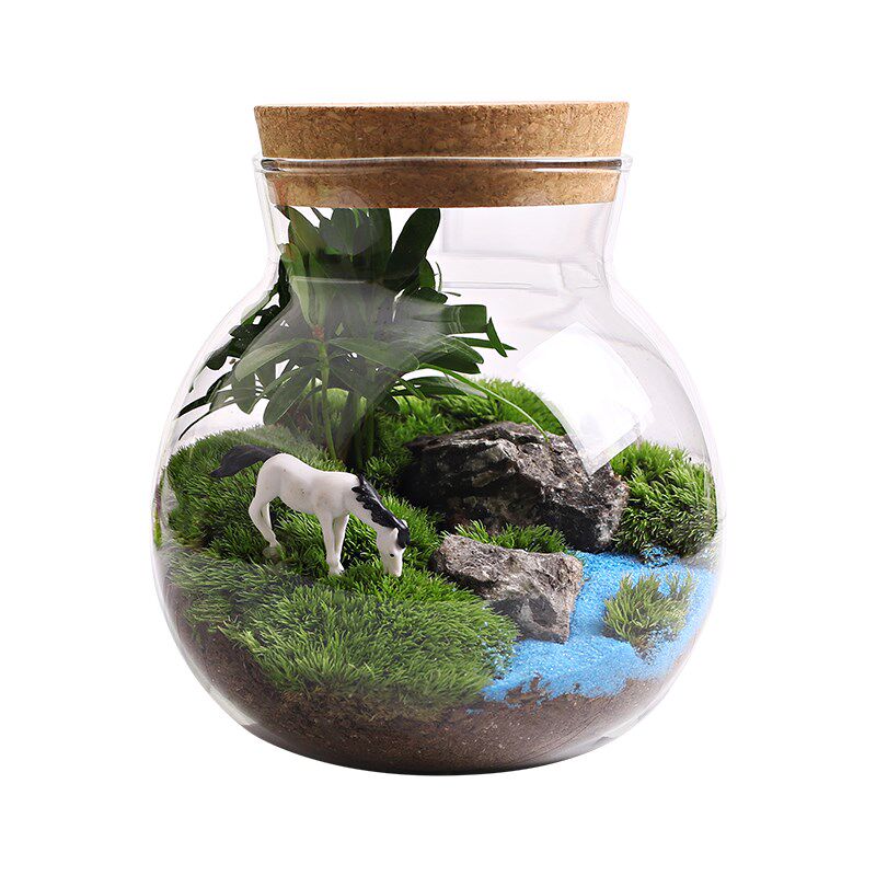 带灯玻璃瓶苔藓微景观套装diy 生态瓶闷养桌面迷你小盆栽创意造景