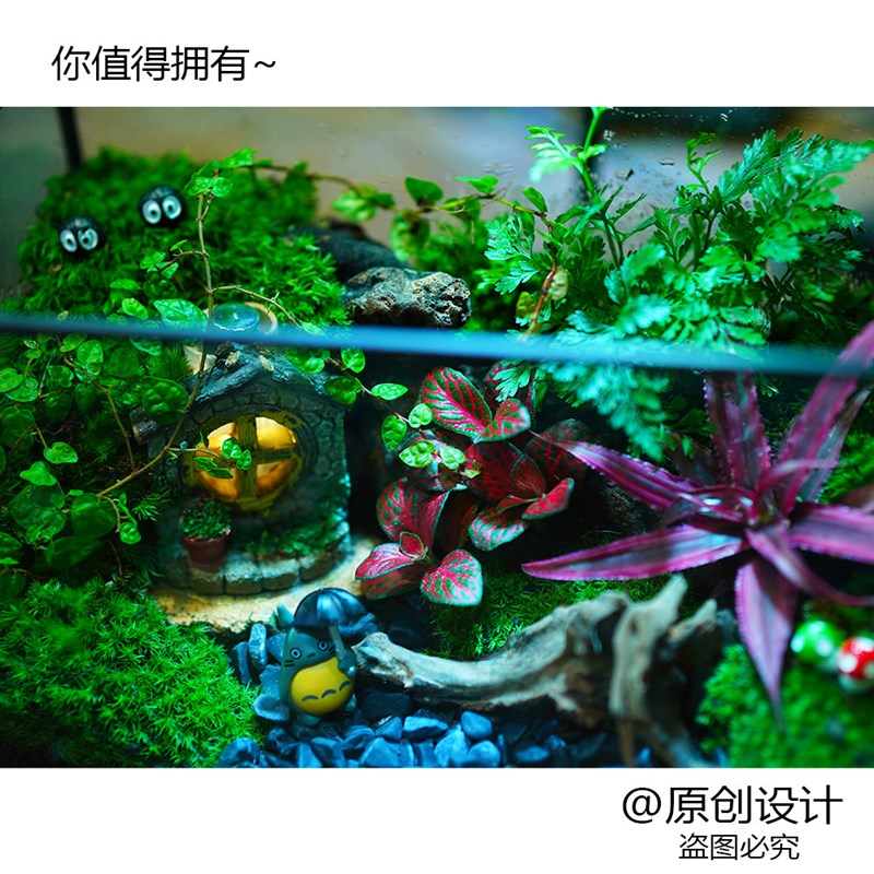 苔藓微景观生态造景办公桌面床头装饰龙猫小屋带灯珠创意摆件盆栽