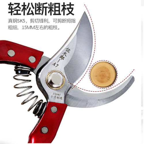 进口SK5剪刀 树枝剪果树修枝剪花剪园林绿化工具粗枝尖子园艺剪刀