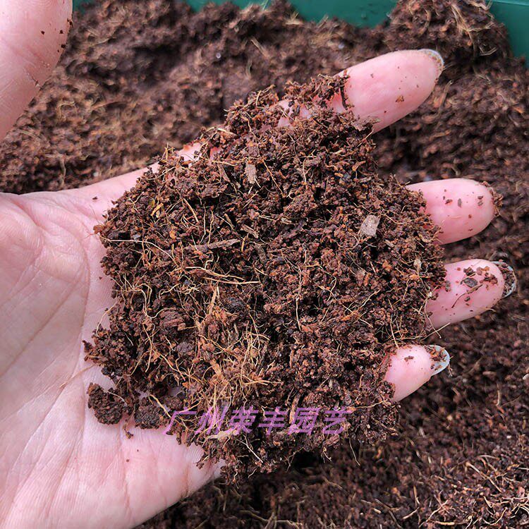 荣丰牌-印度进口椰粉砖 椰土 椰丝 椰糠砖 椰砖 育苗营养土 低盐
