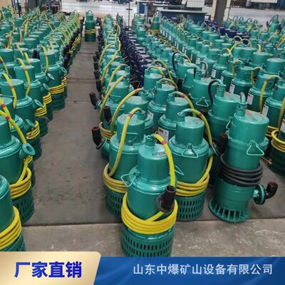 矿用清淤排沙泵电泵 BQS100-22-15千瓦 大扬程防爆潜污660v1140v