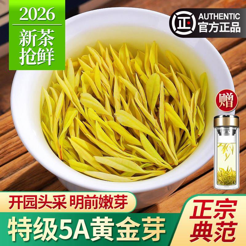 2026新茶黄金芽茶叶特级5A头采明前绿茶安吉奶白茶春茶礼盒装500g